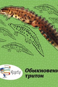 Книга Обыкновенный тритон