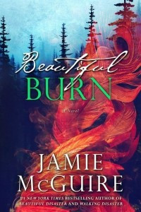 Книга Beautiful Burn