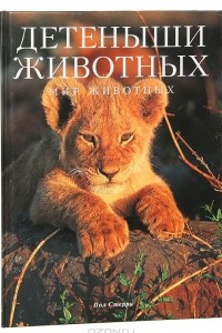 Книга Детеныши животных