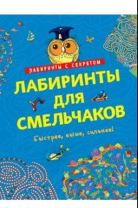 Книга Лабиринты для смельчаков