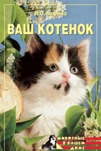 Книга Ваш котенок