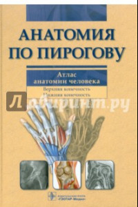 Книга Анатомия по Пирогову. Атлас анатомии человека. Том 1. Верхняя конечность. Нижняя конечность(+CD)