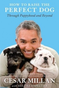 Книга How to Raise the Perfect Dog: Through Puppyhood and Beyond