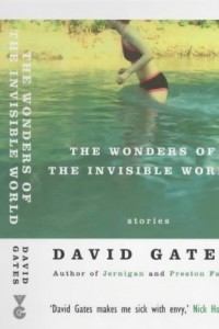 Книга The Wonders of the Invisible World