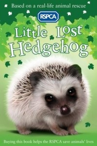 Книга Little Lost Hedgehog