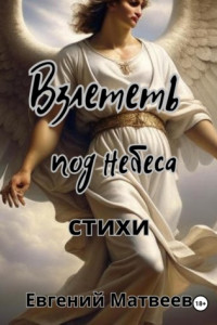 Книга Взлететь под небеса