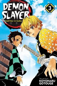 Книга Demon Slayer: Kimetsu no Yaiba, Vol. 3