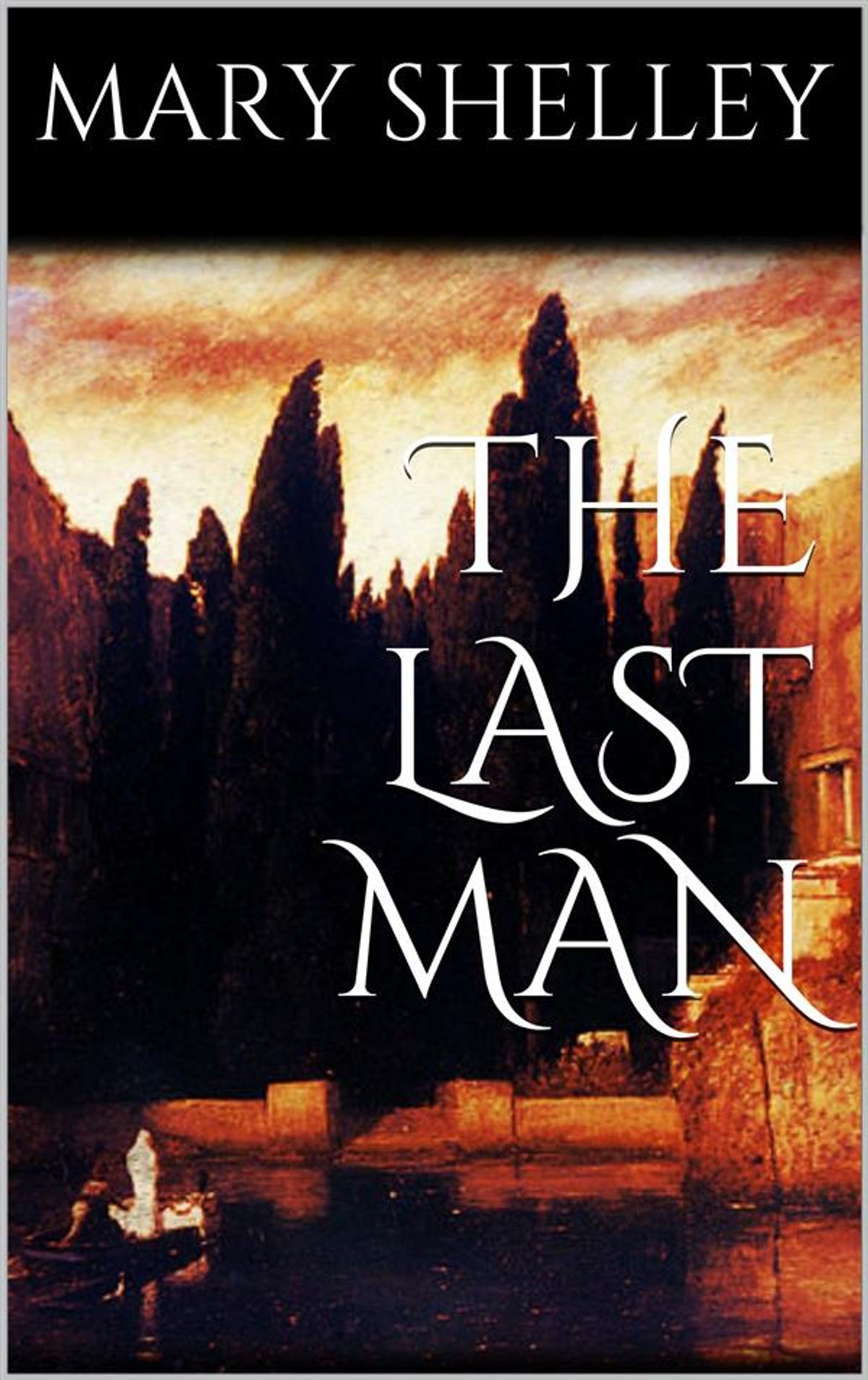Книга Последний человек