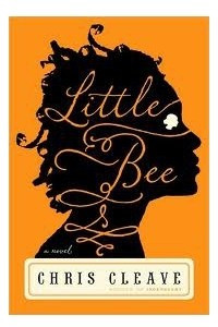 Книга Little Bee