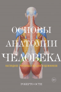Книга Основы анатомии человека. Наглядное руководство для художников