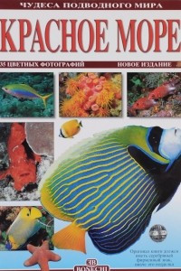Книга Красное море. Чудеса подводного мира