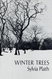 Книга Winter Trees