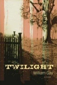 Книга Twilight