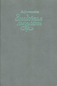 Книга Вася Кочкин, человек лет двенадцати