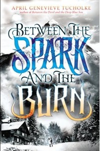 Книга Between the Spark and the Burn