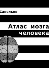 Атлас мозга человека