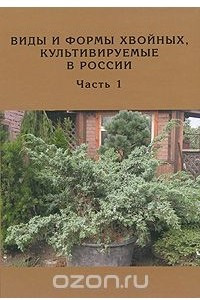 Книга Виды и формы хвойных, культивируемые в России. Часть 1