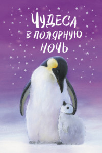 Книга Чудеса в полярную ночь