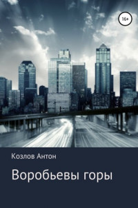 Книга Воробьевы горы