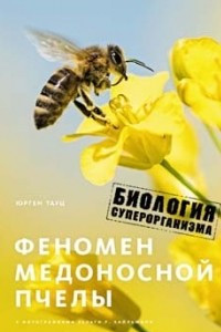 Книга Феномен медоносной пчелы. Биология суперорганизма
