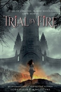 Книга Trial by Fire