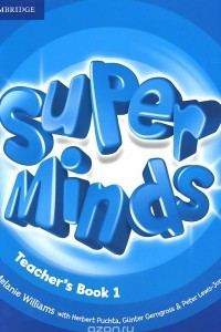 Super Minds: Level 1: Teacher's Book
