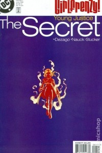 Книга Young Justice: The Secret