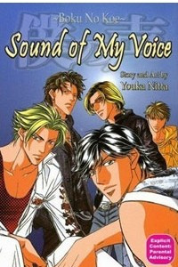 Книга Sound of My Voice
