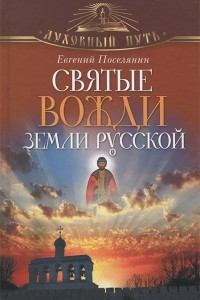 Книга Святые вожди земли Русской