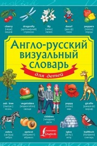 Книга Англо-русский визуальный словарь для детей