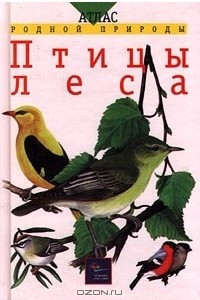 Книга Птицы леса