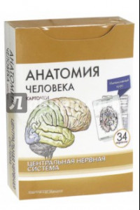 Книга Анатомия человека. Центральная нервная система. КАРТОЧКИ (34 шт)
