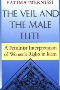 Книга The Veil And The Male Elite: A Feminist Interpretation Of Women's Rights In Islam