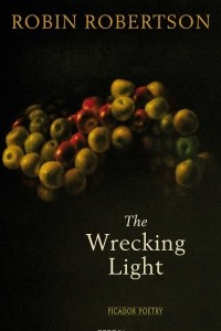 Книга The Wrecking Light