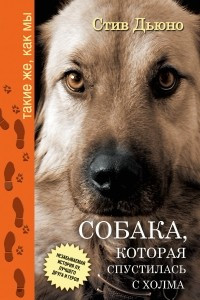 Книга Собака, которая спустилась с холма. Незабываемая история Лу, лучшего друга и героя