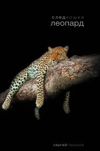 Книга След кошки. Леопард