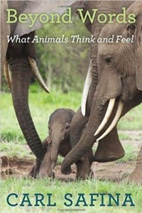 Книга Beyond Words: What Animals Think and Feel