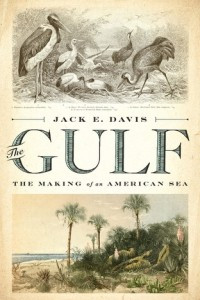 Книга The Gulf: The Making of An American Sea