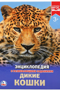 Книга ДИКИЕ КОШКИ (ЭНЦИКЛОПЕДИЯ А4) ТВЕРДЫЙ ПЕРЕПЛЕТ. БУМАГА МЕЛ, 48 СТР.,  197Х255ММ в кор.15шт