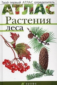 Книга Растения леса