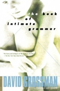 Книга The Book of Intimate Grammar