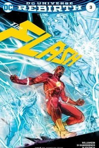 Книга The Flash #3