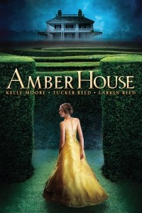 Книга Amber House
