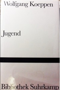 Книга Jugend