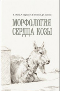 Книга Морфология сердца козы. Монография