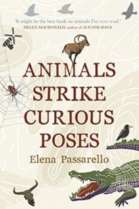 Книга Animals Strike Curious Poses
