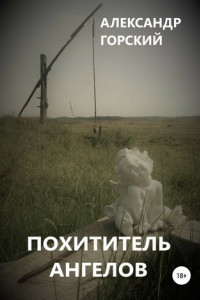 Книга Похититель ангелов