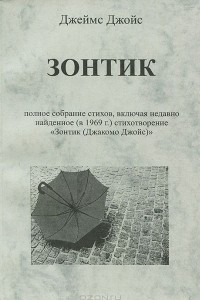 Книга Зонтик