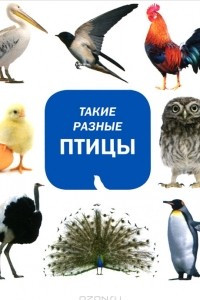 Книга Такие разные птицы