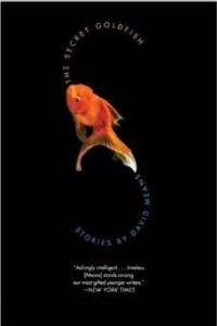 Книга The Secret Goldfish